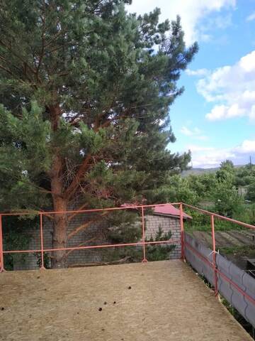 Фото номера Дом с 1 спальней Дома для отпуска Загородный дом на Иртыше г. Усть-Каменогорск 9